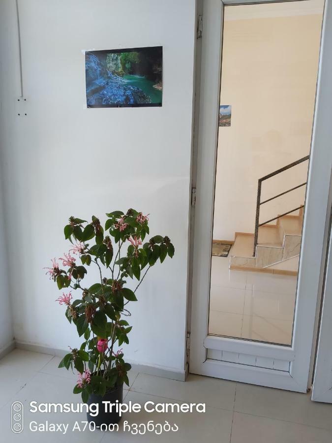 Martvili Newhotel ภายนอก รูปภาพ